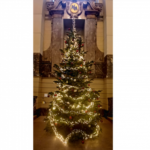 Weihnachtsbaum 2023